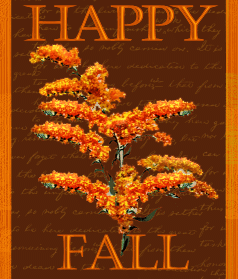 happyfall-4563104